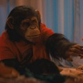 Majmunska posla: Kritika filma „Primate“