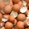 Ne bacajte ljuske od jaja! Mogu da budu neizmerno korisne