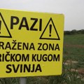 Upozorenja na afričku kugu na ulazima u sela, više od 26.000 grla eutanazirano ili uginulo
