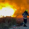 Požar u Petrovaradinu: Izgorelo oko 2.000 kvadrata, vatrogasci sprečili širenje na kuće