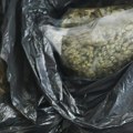 (Foto) Kod Smedereva otkrivena velika laboratorija marihuane: Zaplenjeno oko pola tone droge, šestoro uhapšeno