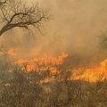 Američka kompanija možda odgovorna za najveći požar u istoriji Teksasa