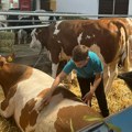 Predloženo administrativno rasterećenje poljoprivrednika u EU