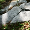 U Beogradu postoji park u kojem su drveće posadili najpoznatiji ljudi sveta – pogledajte na šta on danas liči jer prizor…