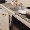 Хорор у Хрватској Издавао кућу радницима, а кад је видео шта је унутра умало се онесвестио – снимак запалио мреже!