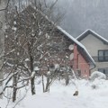 Uništeno na hiljade zasada: Snežna oluja napravila veliku štetu u Ivanjici: "Nije nam lako u ovim uslovima"