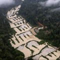 Stotine skrivenih zemljanih struktura ispod Amazona