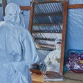 Najveća epidemija ebole u istoriji Konga: Više od 2.000 mrtvih