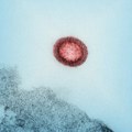 Naučnici razvili lek protiv HIV-a na bazi retkih zemnih katjona