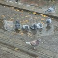 Promenljivo vreme, ponegde kiša i pljuskovi
