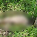 Stravičan zločin u Sjenici: Telo mladića (28) nađeno u šumi, prekriveno granjem: Sumnja se na ubistvo, a povezuje sa…