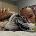 Hamilton tužan pošto je izgubio kućnog ljubimca: Smrt psa Roska jedno od najbolnijih iskustava u životu