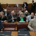 Dudić i Fijuljanin nisu izabrani u Savet REM-a
