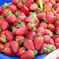 Како да јагоде дуже трају: Ако губе свежину након једног дана, ево где грешите