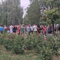 Pretučeni dečak i dalje u teškom, ali stabilnom stanju, Bravo: Zakon nemoćan, a cenu plaćaju deca