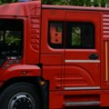 Ponoćna drama u Zemunu: Dete "visilo" u krošnji drveta - reagovali vatrogasci
