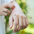 Да ли сапун може да спречи уједе комараца – кључ је у једном састојку