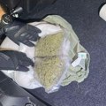 Pas otkrio pola kilograma marihuane sakrivene u jastuk