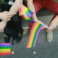 Jerinić (ZLF): LGBT+ osobe u Srbiji diskriminisane, institucije ih ne štite od torture