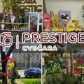 (Video, foto) U cvećari „Prestiž“ bogata ponuda povodom 8. marta: Idealni mirisni, šareni i s ljubavlju spakovani pokloni za…
