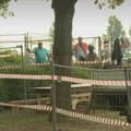 Obećali više zelenila, pa posekli drveće: Ada Ciganlija izgubila mlade sadnice zbog panoramskog EXPO balona