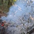 U Gonjoj Lopušnji kod Vlasotinca izgorelo 6 hektara šume – kuće nisu gorele