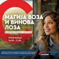 Vozom na Grožđebal Uvedeni dodatni polasci na relaciji Vršac – Beograd