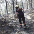 Ona je heroina Suvobora: Bez zadrške uletela u plamen FOTO