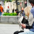 Promenljivo vreme: Smena velikih vrućina i jakih pljuskova sa grmljavinom