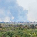 Biološki fakultet i PMF: Obnova Deliblatske peščare ne sme da se svede na pošumljavanje