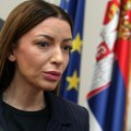 Mesarović: Blokaderi ugrožavaju izbore i zastrašuju građane u Zaječaru i Kosjeriću