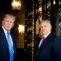Dok Orban viče "oduzeli ste nam more", Hrvatska ulazi u istorijsku ulogu i postaje ključ trampovog ultimatuma Evropi