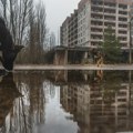 Osam najčudnijih otkrića koja su naučnici pronašli u Černobilju