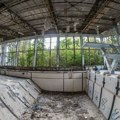 Na današnji dan: Nuklearne katastrofa u Černobilju, srušen Žeželjev most, Rođen Meša Selimović
