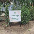 JKP ,,Čistoća i zelenilo’’ Zrenjanin pokrenulo akciju čišćenja divljih deponija u gradu Zrenjanin - JKP "Čistoća i…