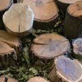 Posle glume vodio život kao iz filma: Radomir Raša Radosavljević uloge je birao sam, sudbina ga "nosila" po raznim meridijanima…