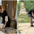 Sve što treba da znate o sezonskim poslovima Plate, porezi i prava radnika evo da li gubite novčanu naknadu za nezaposlene