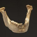 Nekoliko zuba pronađenih u Etiopiji možda otkriva ključne nedoumice evolucije ljudi