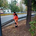 Uređenje zelenila na Bulevaru dr Zorana Đinđića