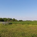 Spasena izgubljena kobila u atarima sela Šatrinci