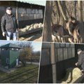 Dušan napravio jedinstvenu farmu na Balkanu: Divljač doveo sa Lovćena pa pripitomio retke vrste