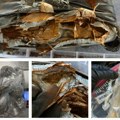 Nemački državljanin na Kelebiji uhapšen sa 1,2 kg marihuane
