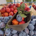 Unapređenje proizvodnje i kreiranje kvalitetnog proizvoda: Osnovano Udruženje „Destilati za destilerije”