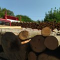Cene ogreva u Kragujevcu: Koliko košta metar drva, tona peleta ili uglja