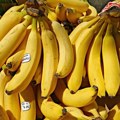 Otrovna zmija među bananama u marketu