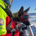 (Foto) ovo je pas koji je pronašao malu Dunju (2): Ženka Mala i heroj Gorske službe spasavanja Dejan spasli devojčicu