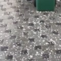 Grad tukao u Kruševcu Oluja divlja na +35! (video)