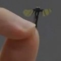 Neverovatno Kinezi napravili dron veličine komarca