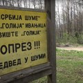Meštani Ivanjice na kućnom pragu umesto psa i mačke zatiču ovu opasnu zver: Hitno upućen apel nadležnima