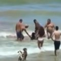 Људи хитно улетели у крваву воду да извуку дечака: Хорор сцена на популарној плажи - Још један бруталан напад морске немани…